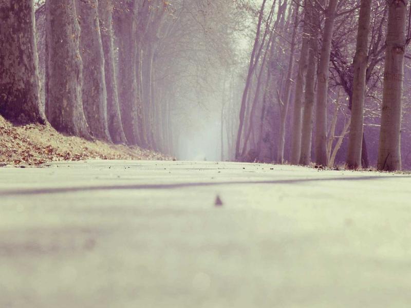 Garde d'enfants et droits d'accès